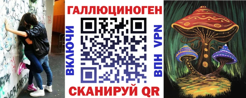 Купить где  Короча  Галлюциногенные грибы Psilocybine cubensis 